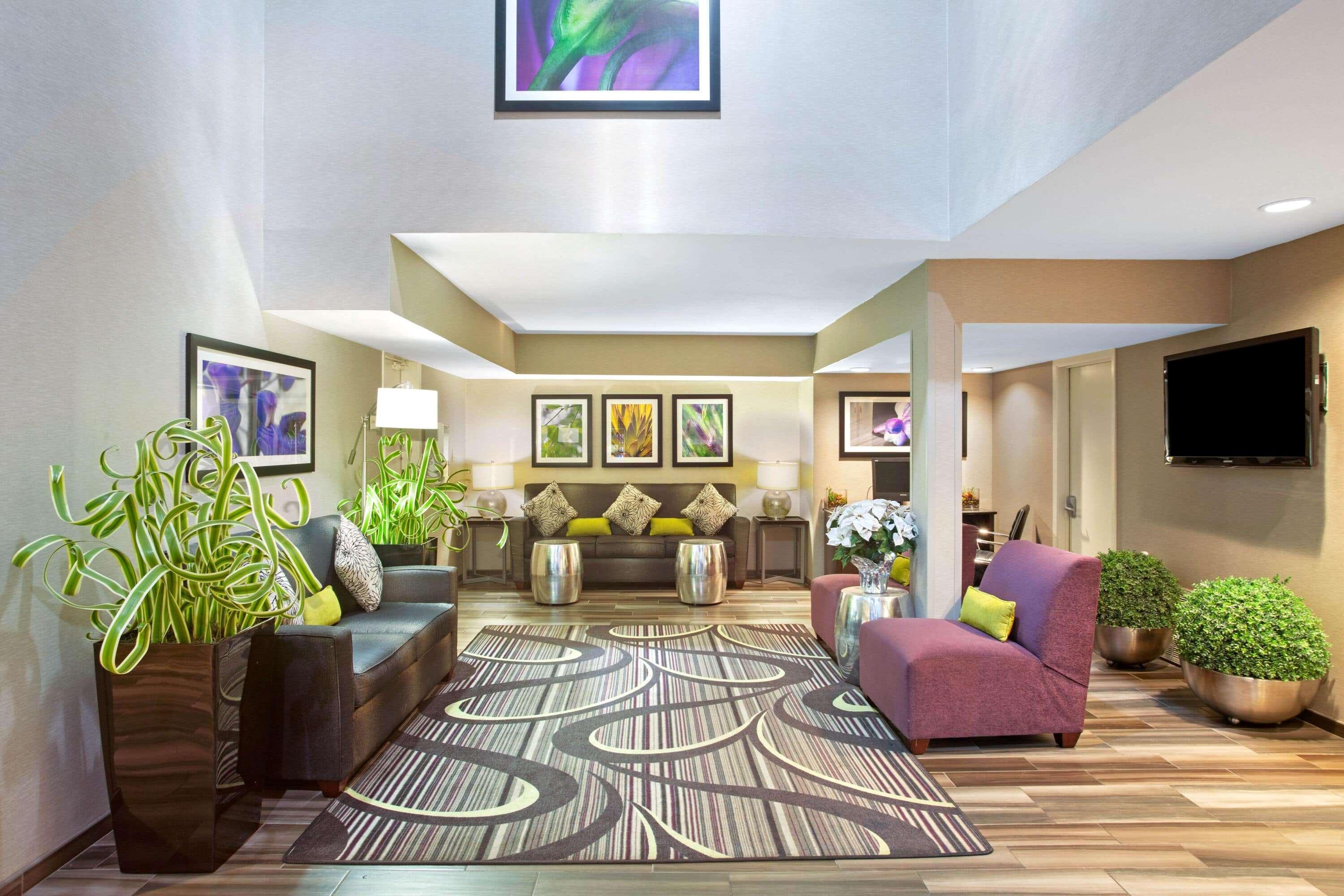 La Quinta Inn By Wyndham San Marcos Ngoại thất bức ảnh